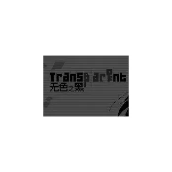 Počítačová hra Transparent Black