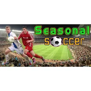Počítačová hra Seasonal Soccer