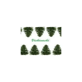 Počítačová hra Vickinachi