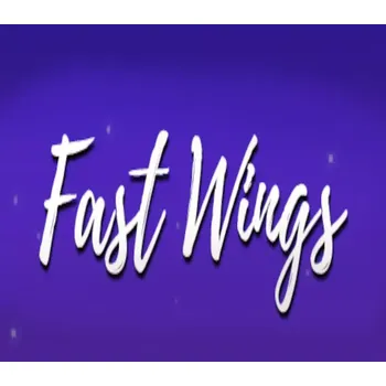Počítačová hra Fast Wings