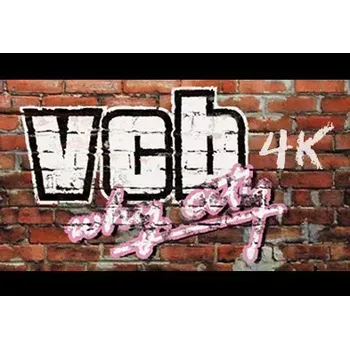 Počítačová hra VCB: Why City 4k