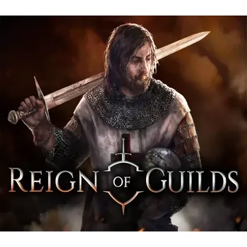 Počítačová hra Reign of Guilds