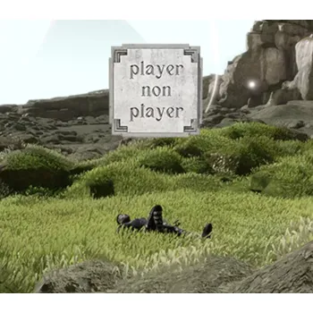 Počítačová hra Player Non Player