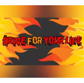 Počítačová hra Drive for Your Life