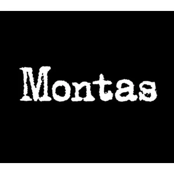 Počítačová hra Montas