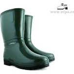 Dámské holínky DEMAR RAINNY 0050 B zelené 36-37