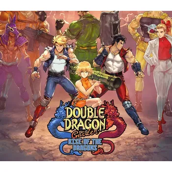 Počítačová hra Double Dragon Gaiden: Rise Of The Dragons