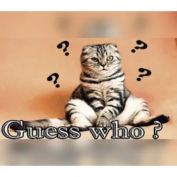 Počítačová hra Guess who ?