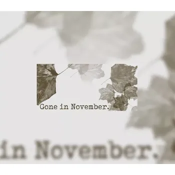 Počítačová hra Gone In November