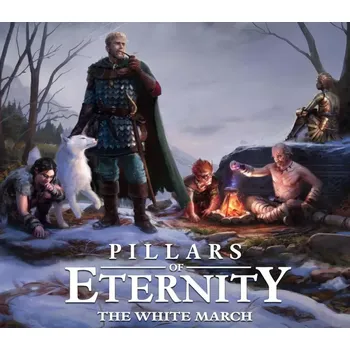 Počítačová hra Pillars of Eternity: Hero Edition + The White March (Part 1)