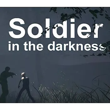 Počítačová hra Soldier in the darkness