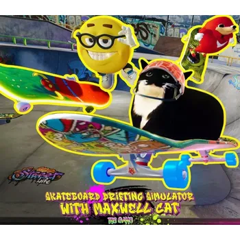 Počítačová hra Drifting with Maxwell Cat: The Game