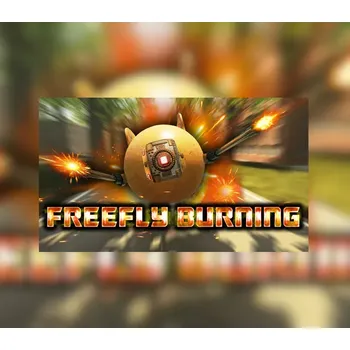 Počítačová hra FreeFly Burning