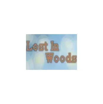 Počítačová hra Lost In Woods 2