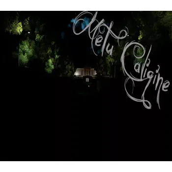 Počítačová hra Metu Caligine