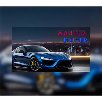 Počítačová hra Wanted Driver