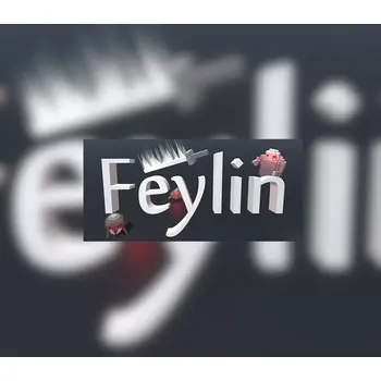 Počítačová hra Feylin