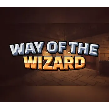 Počítačová hra Way of the Wizard