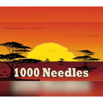 Počítačová hra 1000 Needles