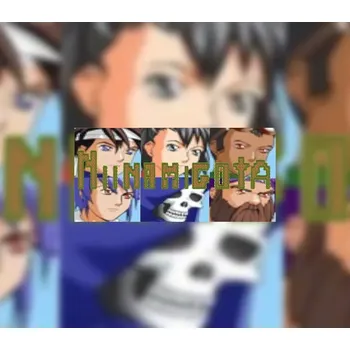 Počítačová hra Niinamigota