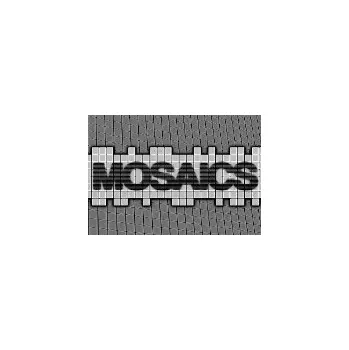 Počítačová hra Pixel Puzzles Mosaics