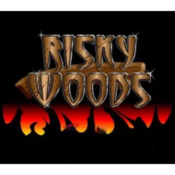 Počítačová hra Risky Woods
