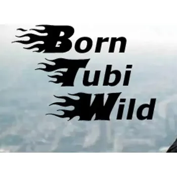 Počítačová hra Born Tubi Wild