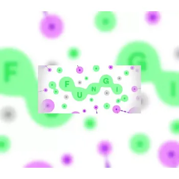Počítačová hra FUNGI