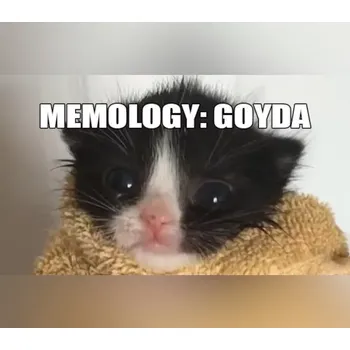 Počítačová hra MEMOLOGY: GOYDA