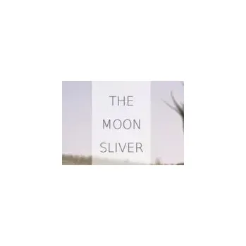 Počítačová hra The Moon Sliver