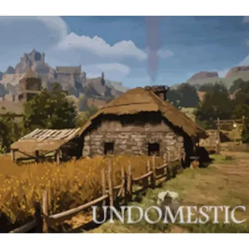 Počítačová hra Undomestic