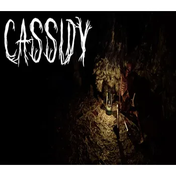 Počítačová hra Cassidy