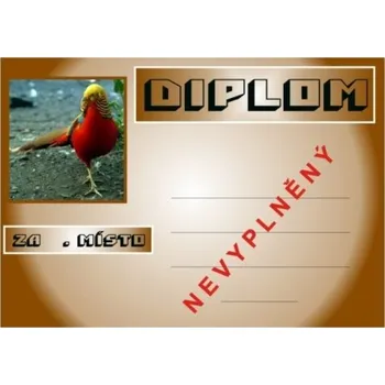 VIZINGR Bažant zlatý diplom A4