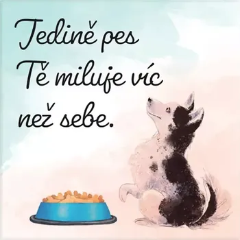 Dekorativní magnet Albi Magnetka s textem Jedině pes Tě miluje víc než sebe