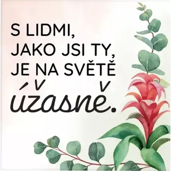 Dekorativní magnet Albi Magnetka s textem Ty