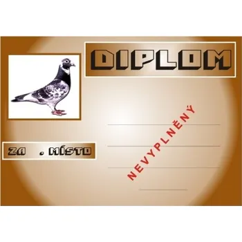 VIZINGR Holubáři diplom A4 č.9
