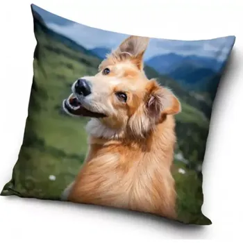 Povlak na dekorativní polštářek Carbotex Povlak na polštářek Pejsek v horách 40 x 40 cm