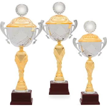 Sportovní poháry STANDARD 34062 Velikost pohárů: 34062.1 50 cm