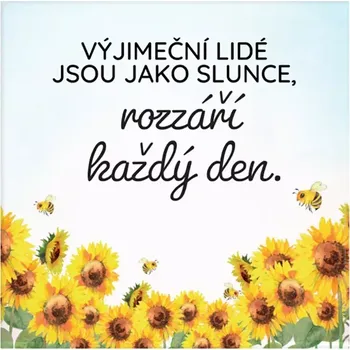 Dekorativní magnet Albi Magnetka s textem Výjimeční lidé