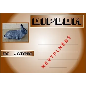 VIZINGR Činčila malá diplom A4