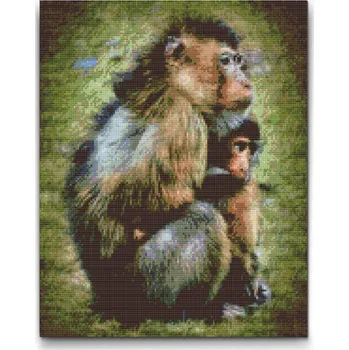 Diamantové malování Diamantové malování - Čas krmení Velikost: 30x40cm, Rámování: Pouze srolované plátno, Diamanty: Čtvercové