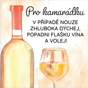 Dekorativní magnet Albi Magnetka s textem Pro kamarádku