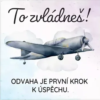 Dekorativní magnet Albi Magnetka s textem To zvládneš