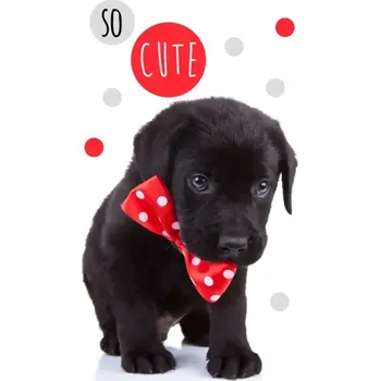 Carbotex Froté ručníček Roztomilé štěňátko 30 x 50 cm