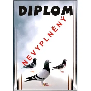 VIZINGR Holubáři diplom A4 č.3