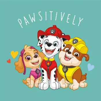 Carbotex Magický ručníček Tlapková Patrola Tři Mušketýři&nbsp;30x30cm