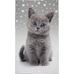 Detexpol Dětský ručník Kotě Grey 30 x 50 cm