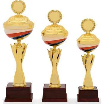 Sportovní poháry STANDARD 34059 Velikost pohárů: 34059.1 43 cm