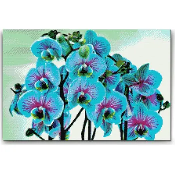 Diamantové malování Diamantové malování - Modrá orchidej Velikost: 40x60cm, Rámování: Pouze srolované plátno, Diamanty: Čtvercové