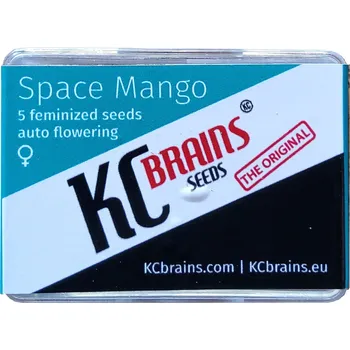 Semeno KC Brains Seeds - Space Mango Auto 5 ks